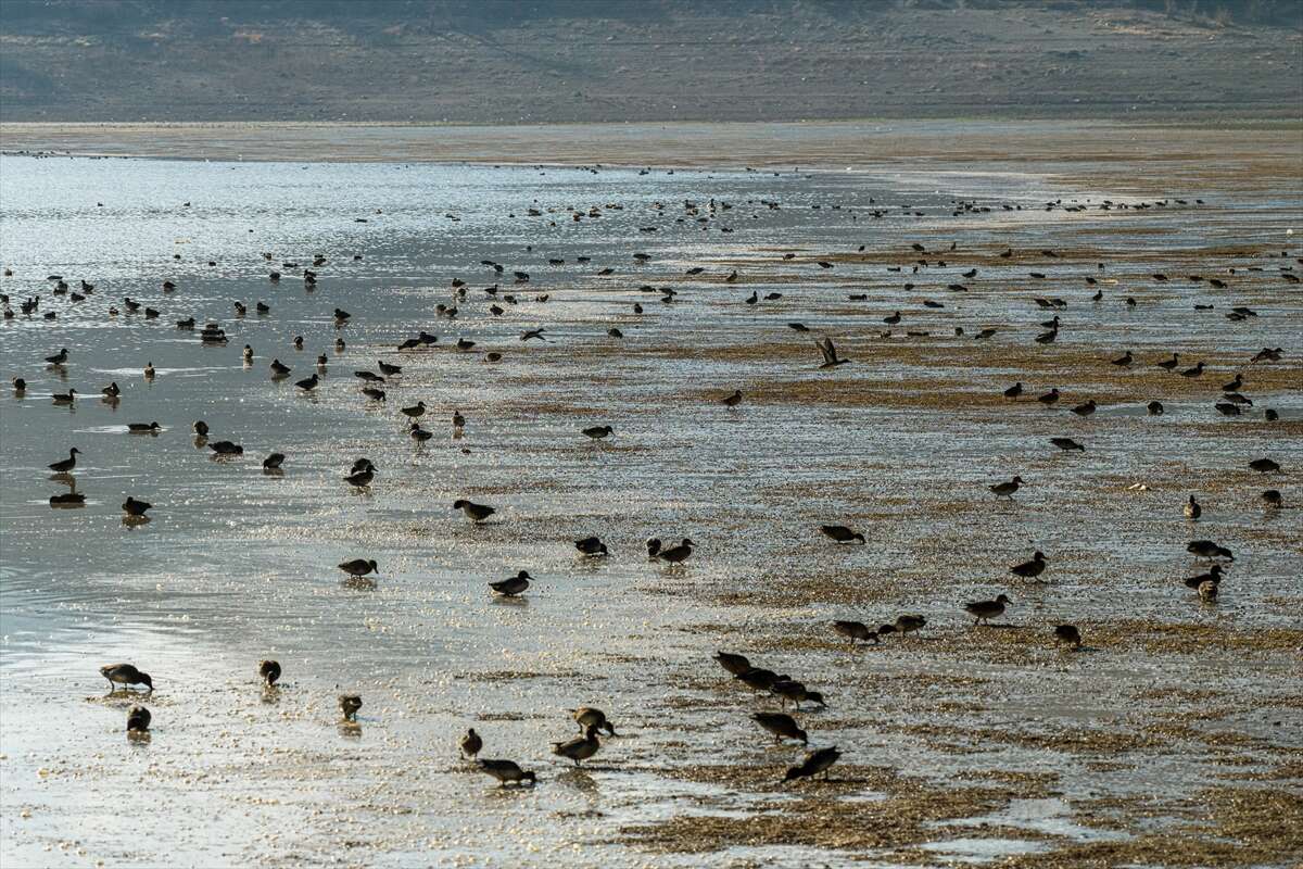 Konya merkezi sulayan kaynakta hareketlilik başladı 13